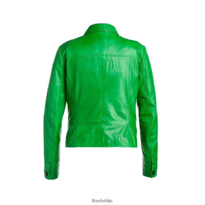 херве Жене D0806T1276 одећу зелен LLOYD