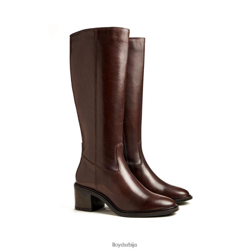 боот Жене D0806T1191 ципеле браон LLOYD