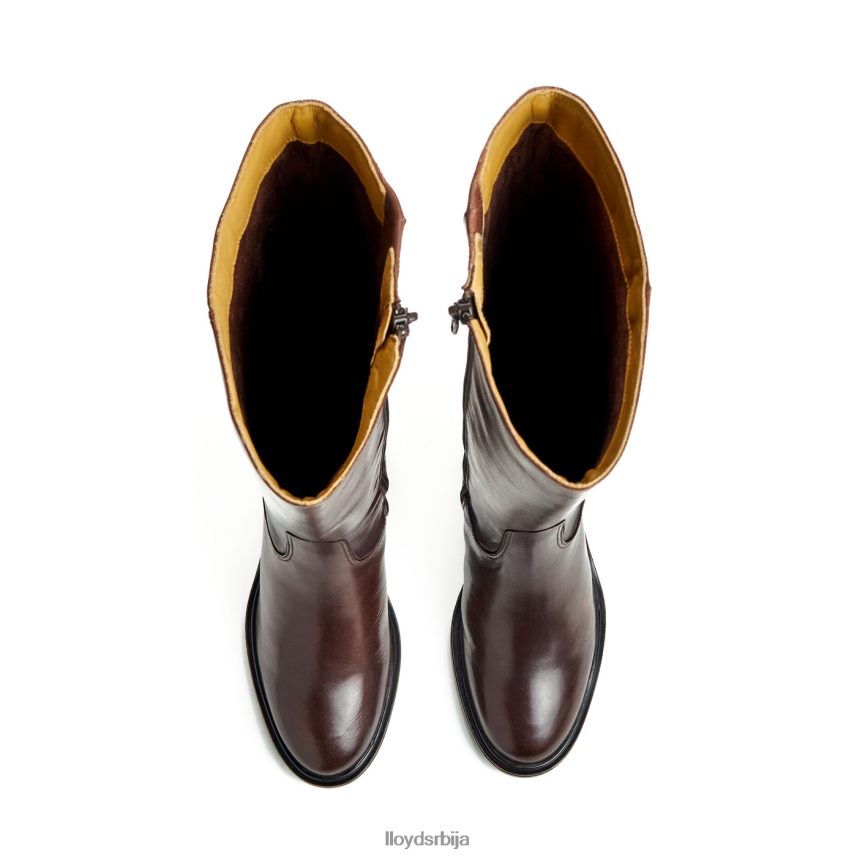 боот Жене D0806T1191 ципеле браон LLOYD