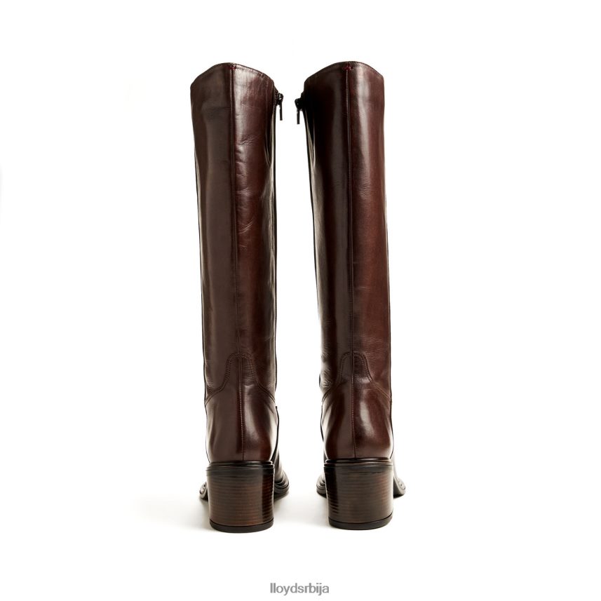 боот Жене D0806T1191 ципеле браон LLOYD