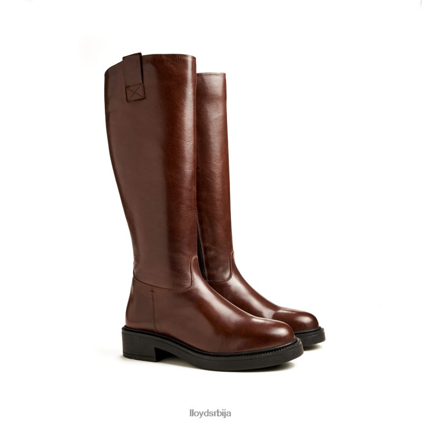 боот Жене D0806T1193 ципеле браон LLOYD