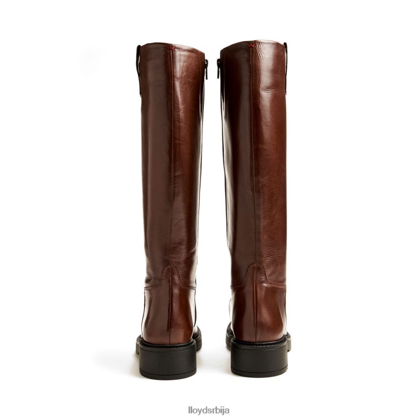 боот Жене D0806T1193 ципеле браон LLOYD