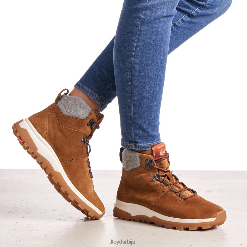 глежњаче Жене D0806T856 ципеле браон LLOYD