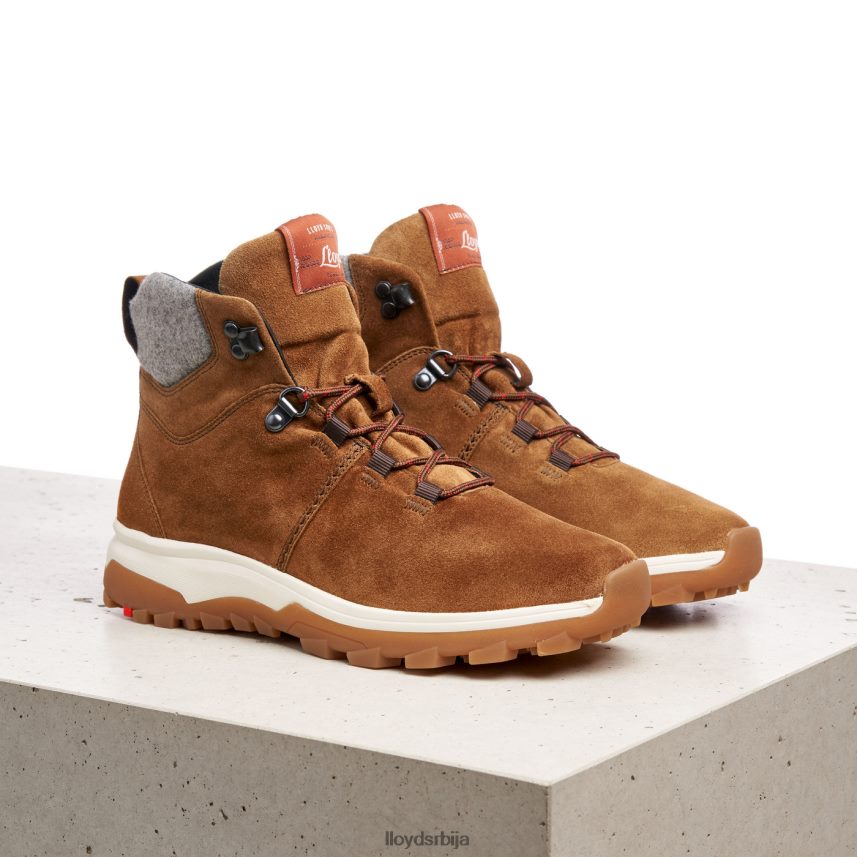 глежњаче Жене D0806T856 ципеле браон LLOYD