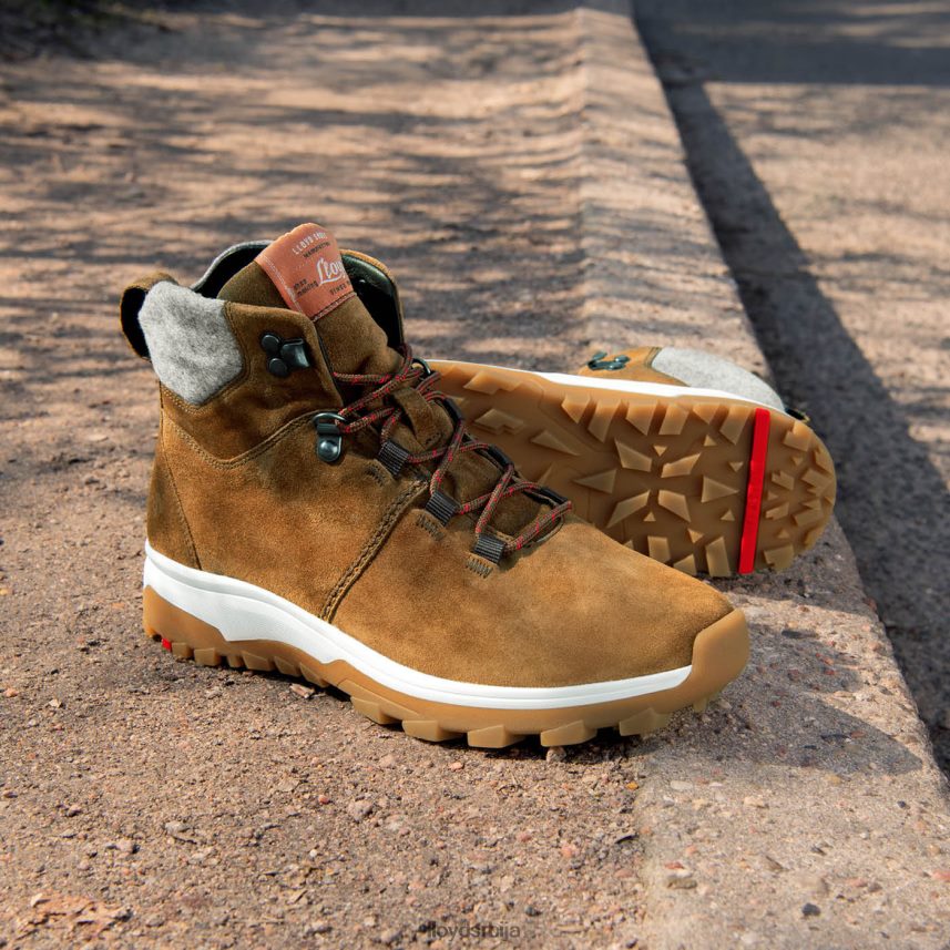 глежњаче Жене D0806T856 ципеле браон LLOYD