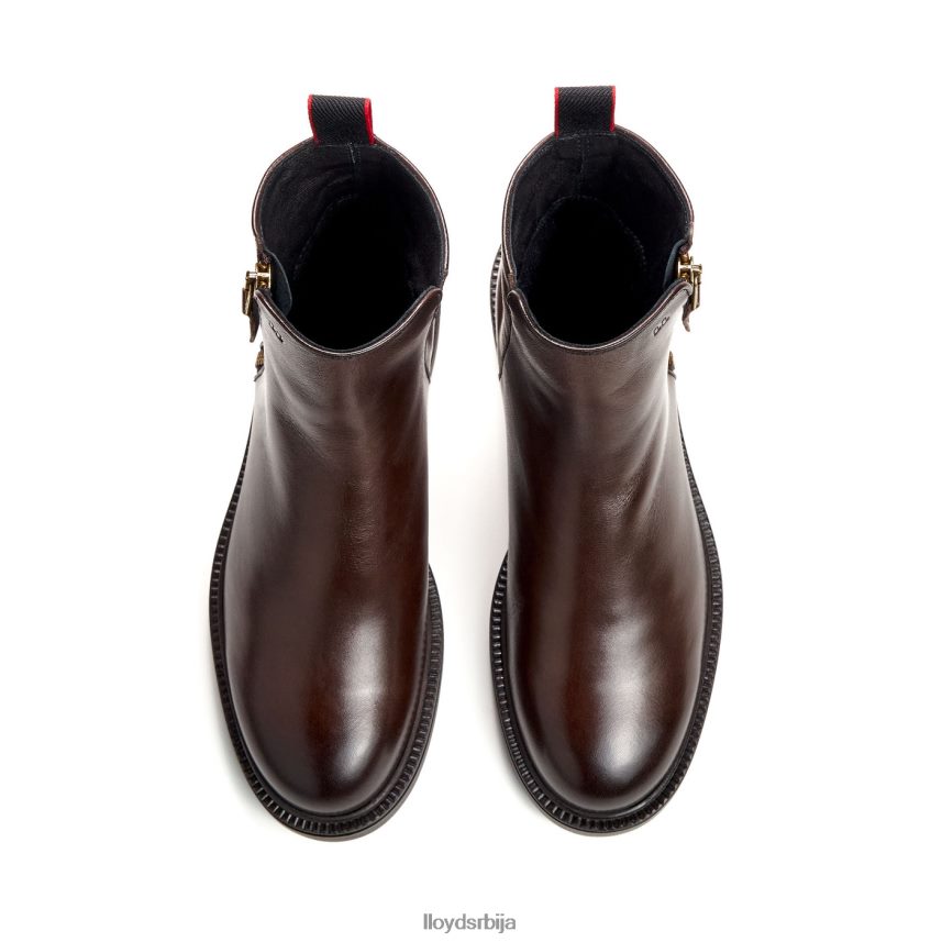 класична глежњача Жене D0806T876 ципеле браон LLOYD