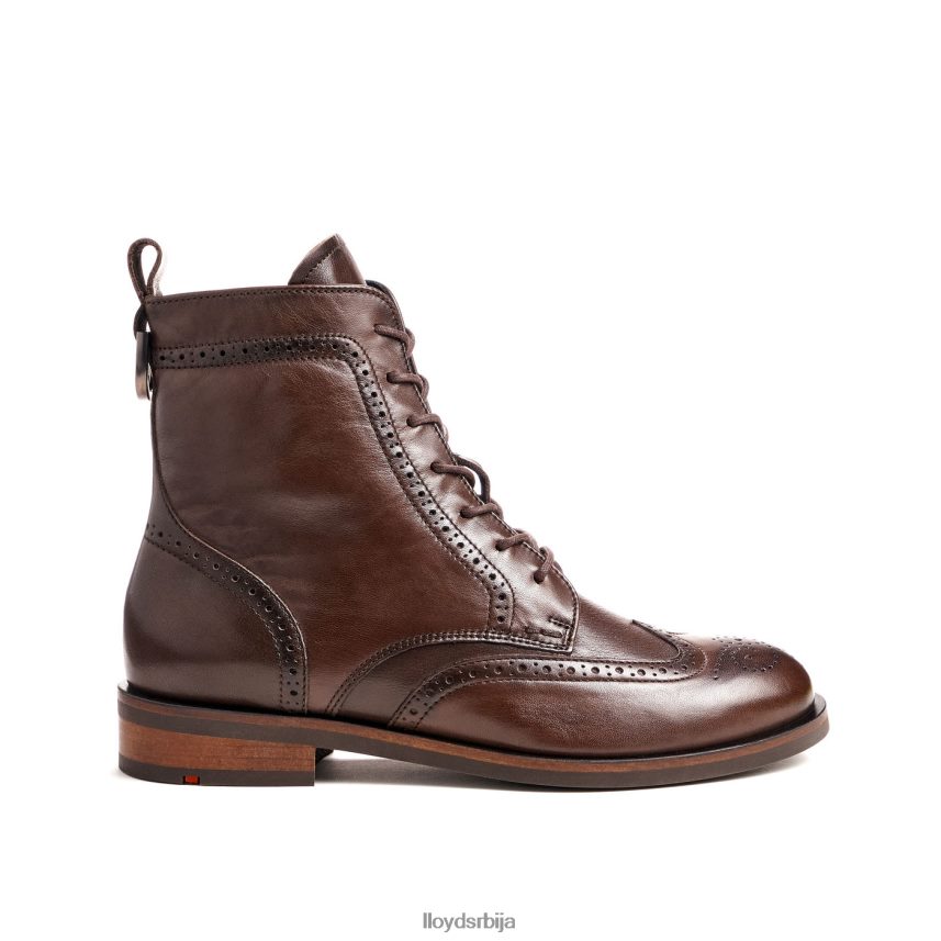 модне глежњаче од глатке коже Жене D0806T877 ципеле браон LLOYD