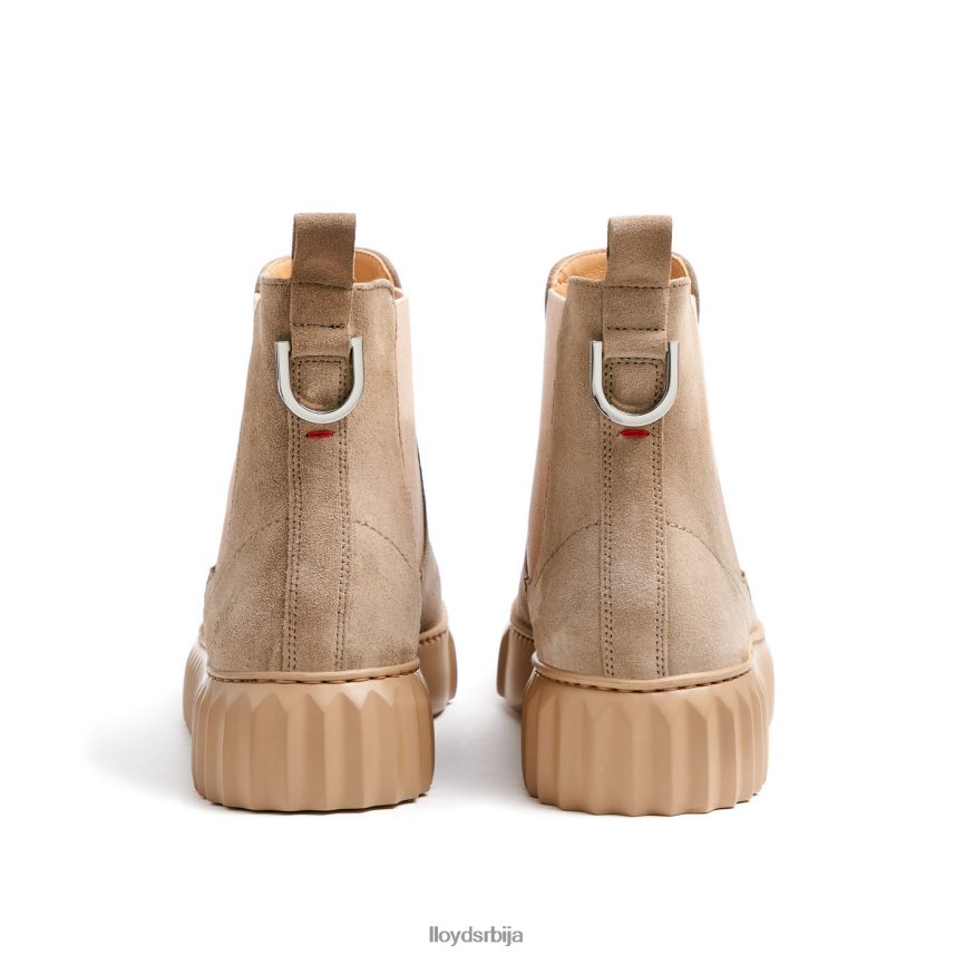 груба кожна глежњача Жене D0806T882 ципеле беж LLOYD