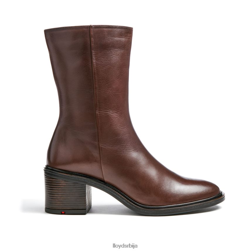 модне кожне глежњаче Жене D0806T886 ципеле браон LLOYD