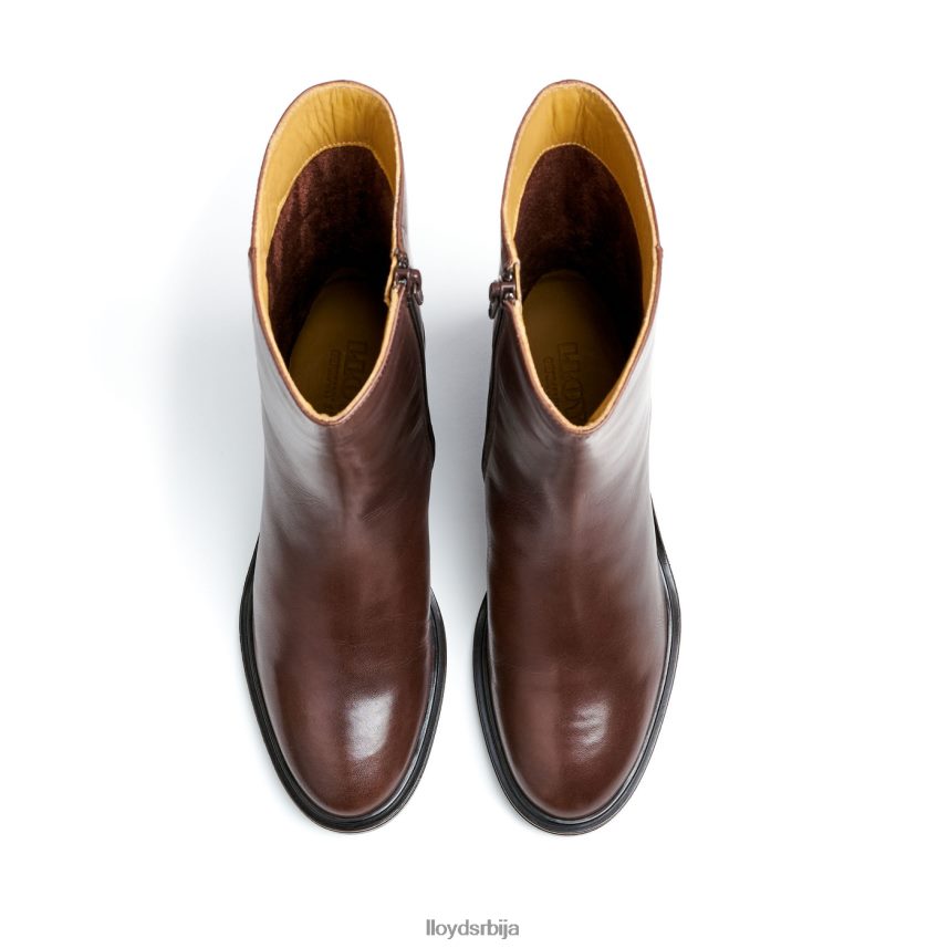 модне кожне глежњаче Жене D0806T886 ципеле браон LLOYD