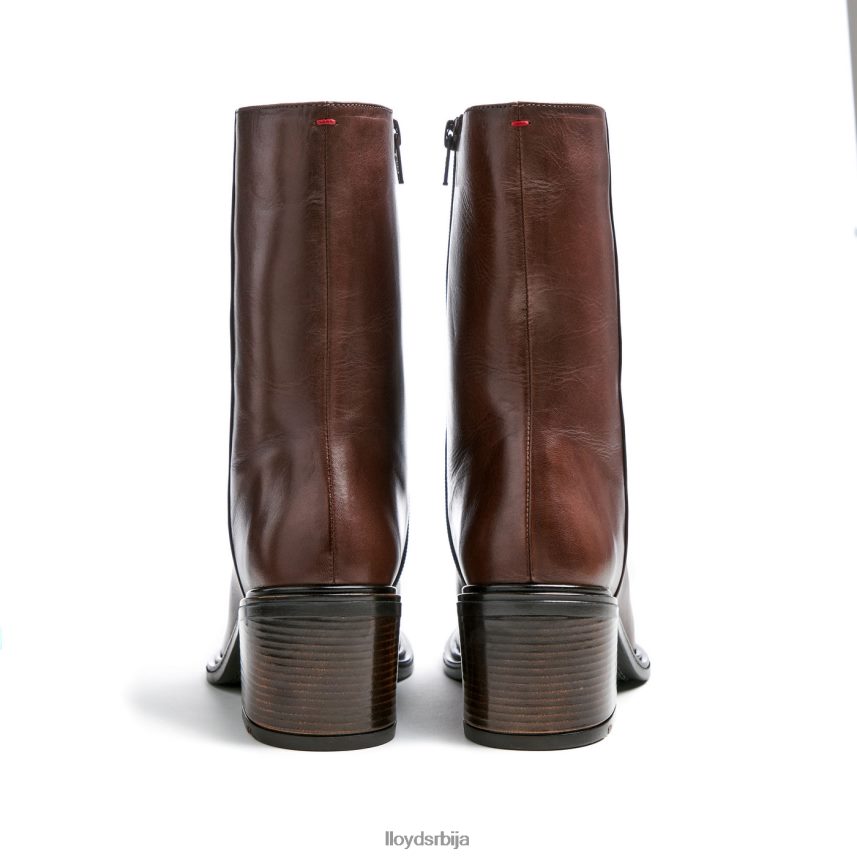 модне кожне глежњаче Жене D0806T886 ципеле браон LLOYD