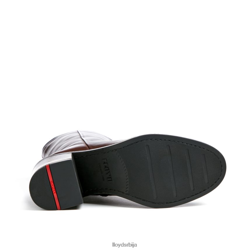 модне кожне глежњаче Жене D0806T886 ципеле браон LLOYD