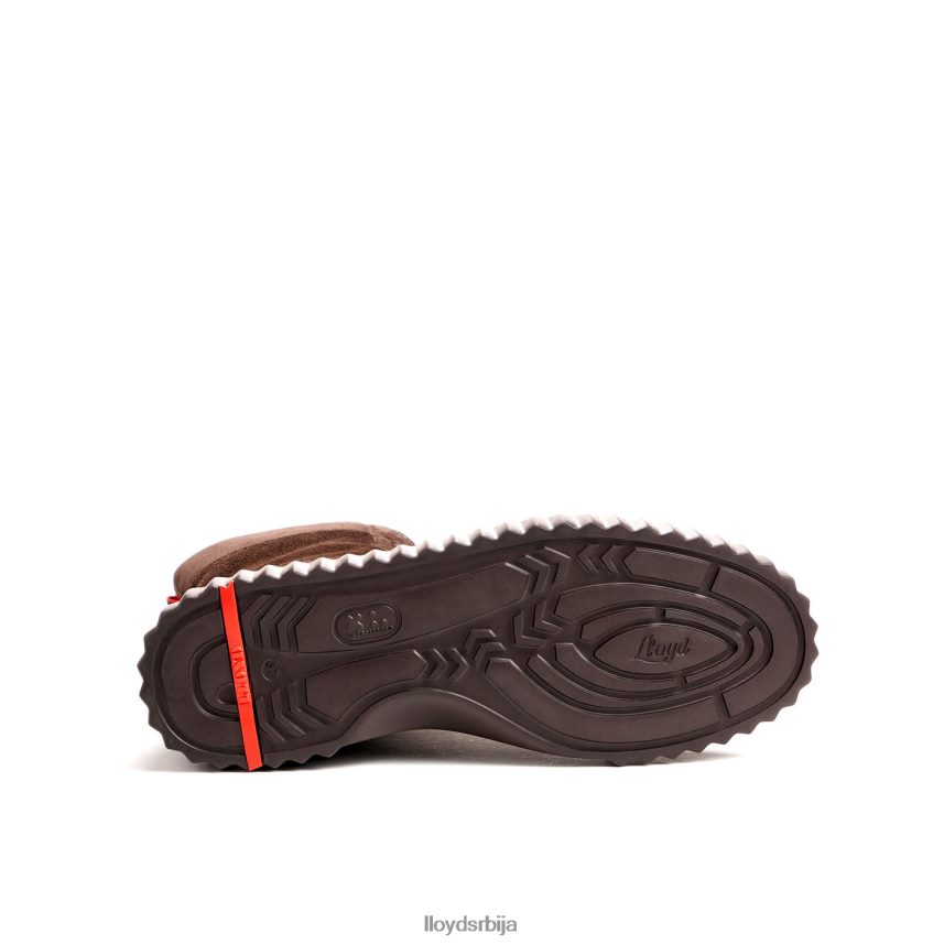 груба кожна глежњача Жене D0806T889 ципеле браон LLOYD