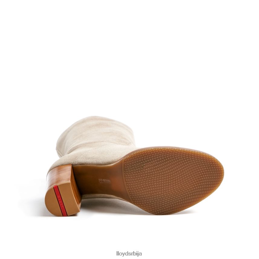 груба кожна глежњача Жене D0806T891 ципеле беж LLOYD