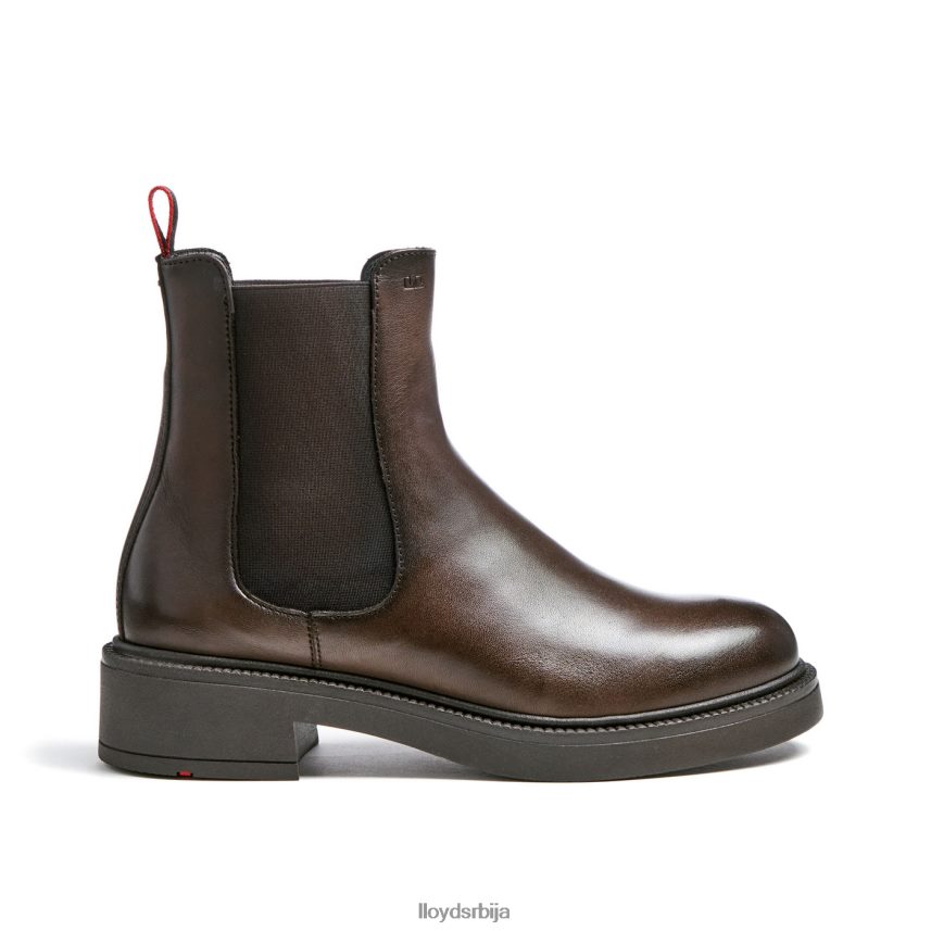 спортске глежњаче од глатке коже Жене D0806T893 ципеле браон LLOYD