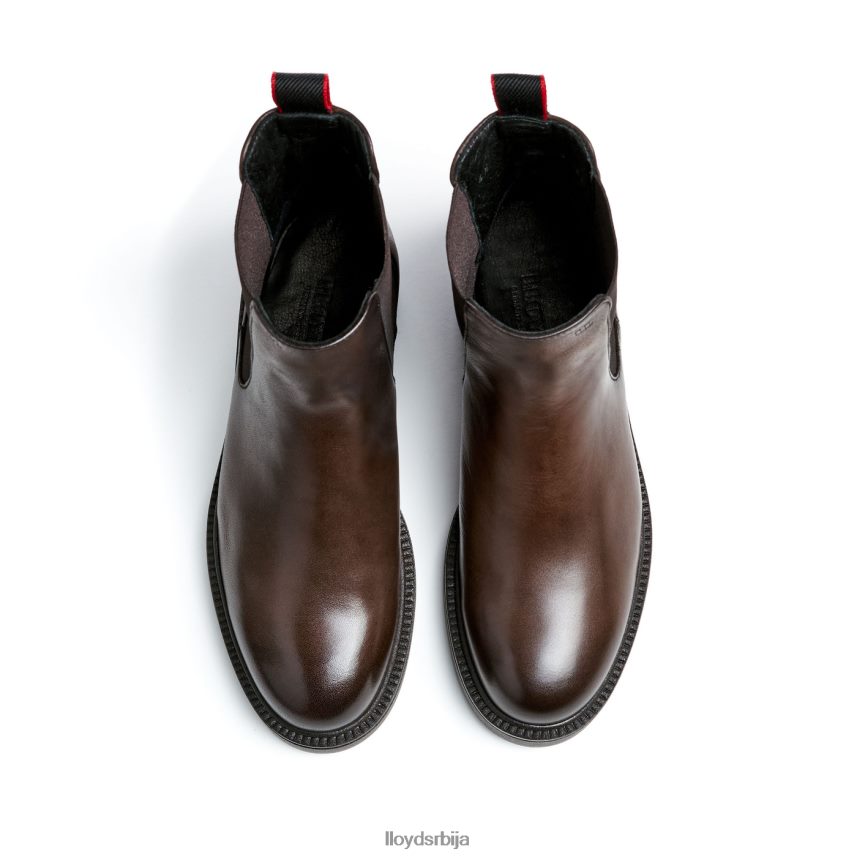 спортске глежњаче од глатке коже Жене D0806T893 ципеле браон LLOYD