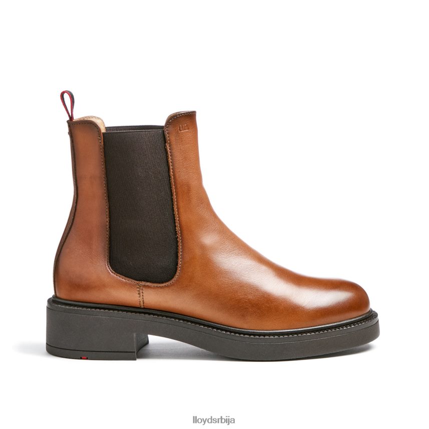 спортске глежњаче од глатке коже Жене D0806T894 ципеле браон LLOYD