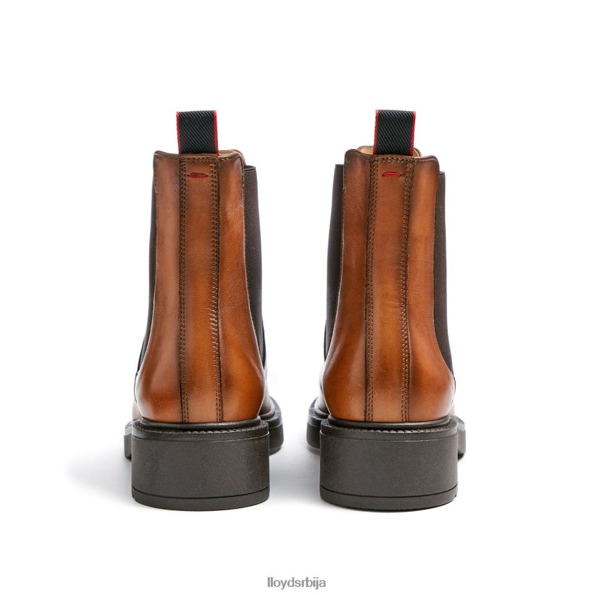 спортске глежњаче од глатке коже Жене D0806T894 ципеле браон LLOYD