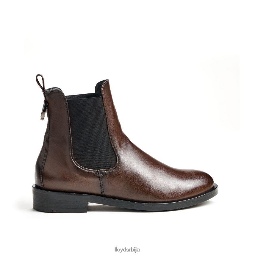 модне глежњаче од глатке коже Жене D0806T897 ципеле браон LLOYD