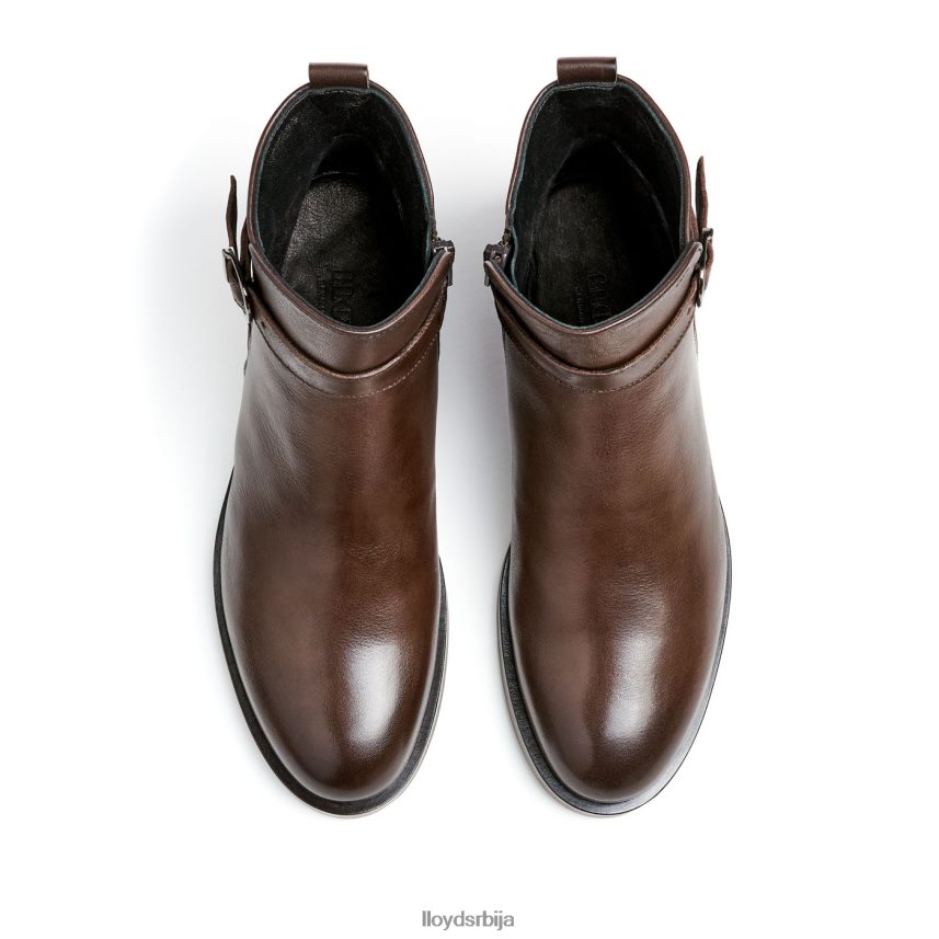 модне кожне глежњаче Жене D0806T899 ципеле браон LLOYD