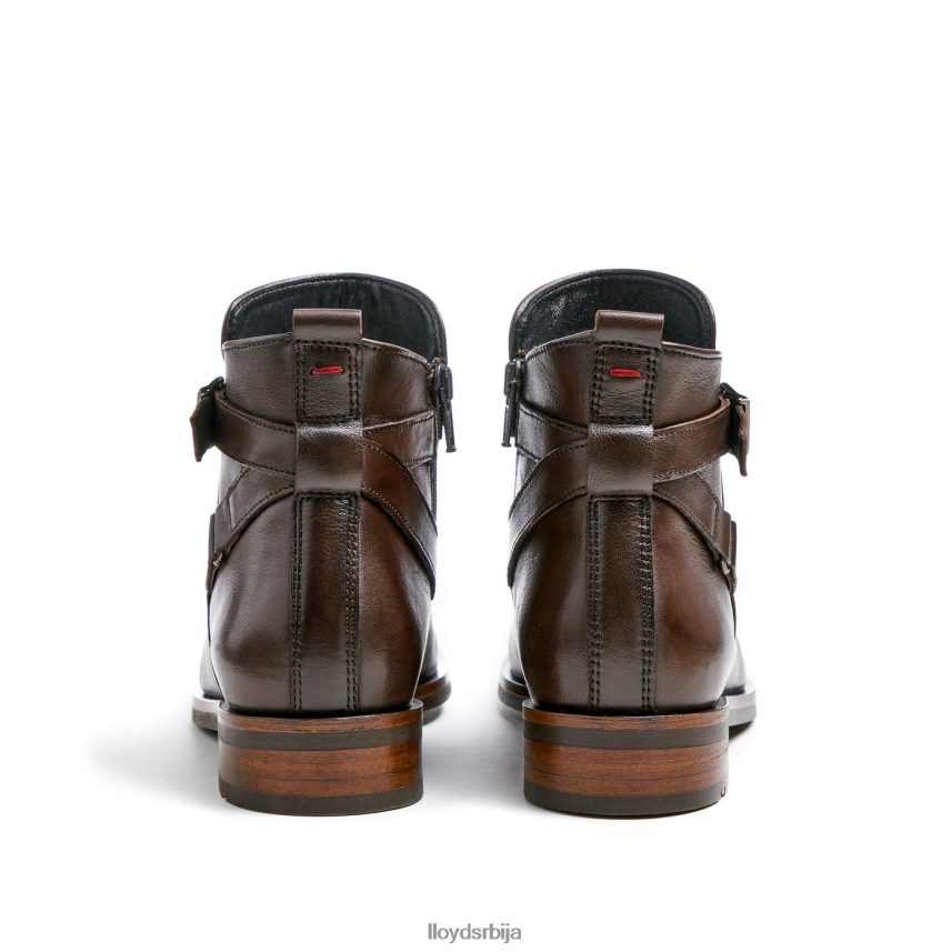 модне кожне глежњаче Жене D0806T899 ципеле браон LLOYD