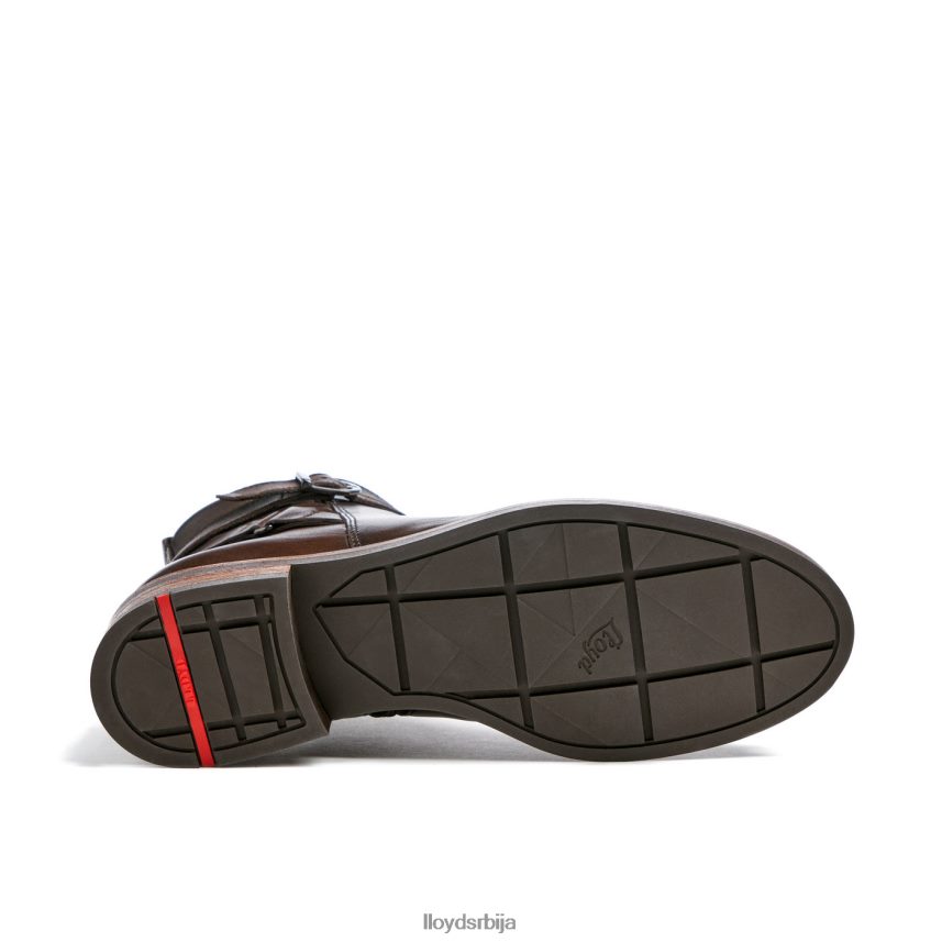 модне кожне глежњаче Жене D0806T899 ципеле браон LLOYD