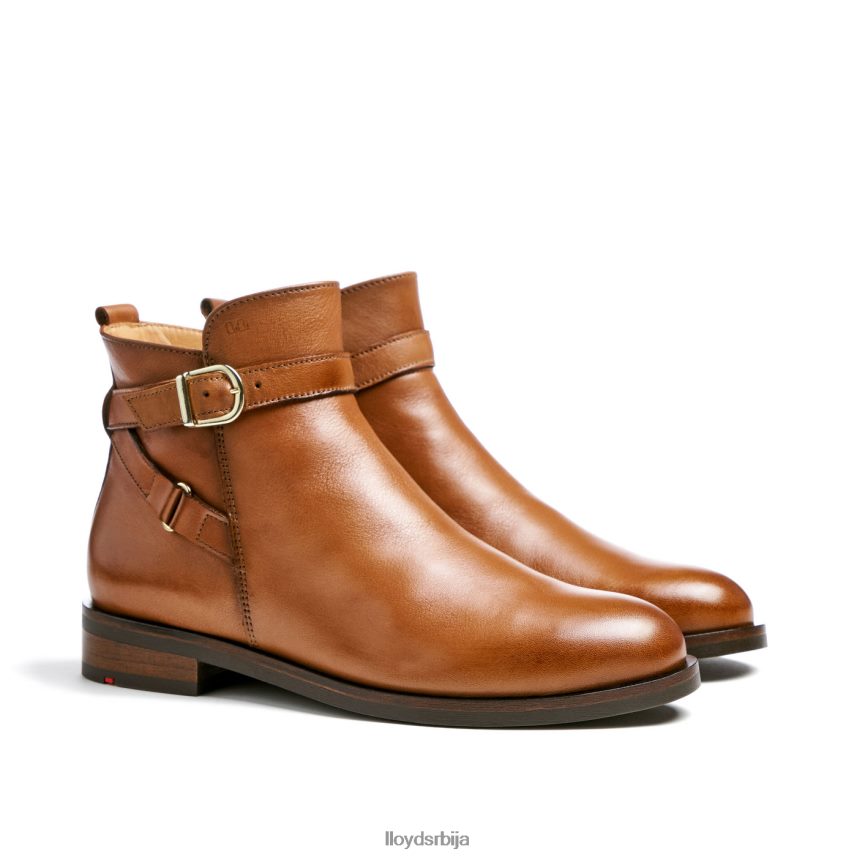 модне глежњаче од глатке коже Жене D0806T900 ципеле браон LLOYD