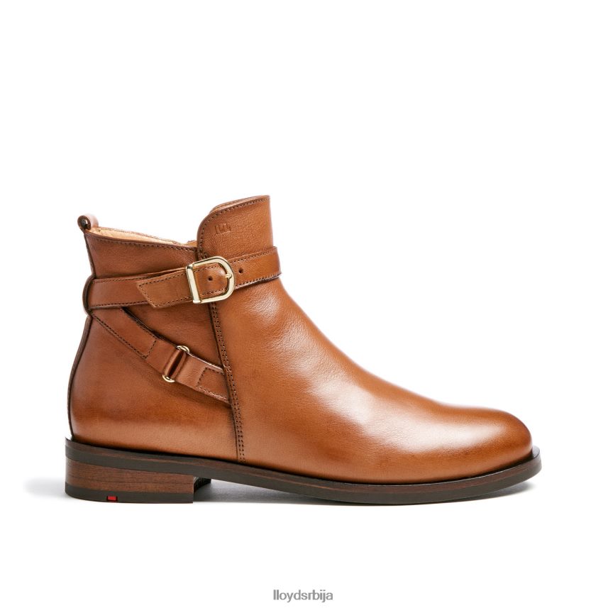 модне глежњаче од глатке коже Жене D0806T900 ципеле браон LLOYD