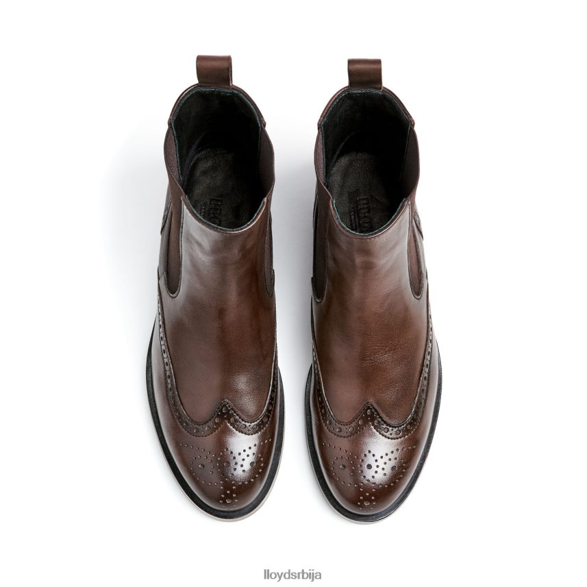 класична глежњача Жене D0806T905 ципеле браон LLOYD