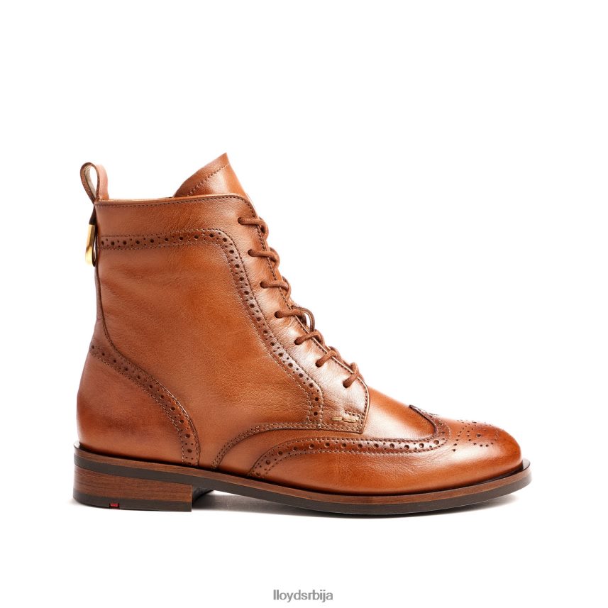 спортске глежњаче од глатке коже Жене D0806T909 ципеле браон LLOYD