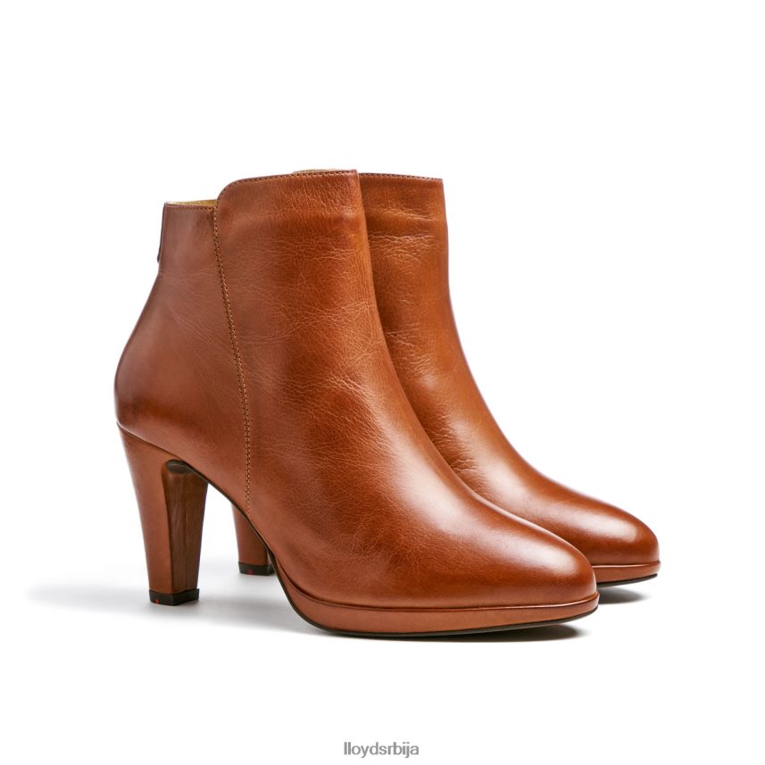 кожне глежњаче Жене D0806T921 ципеле браон LLOYD