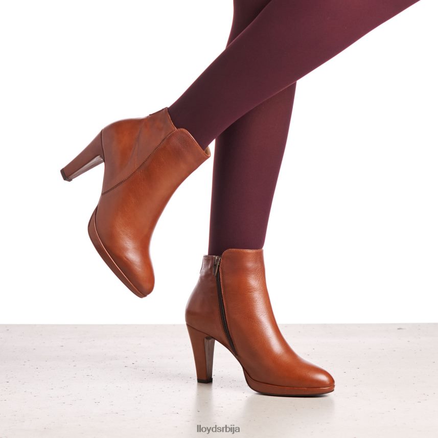 кожне глежњаче Жене D0806T921 ципеле браон LLOYD