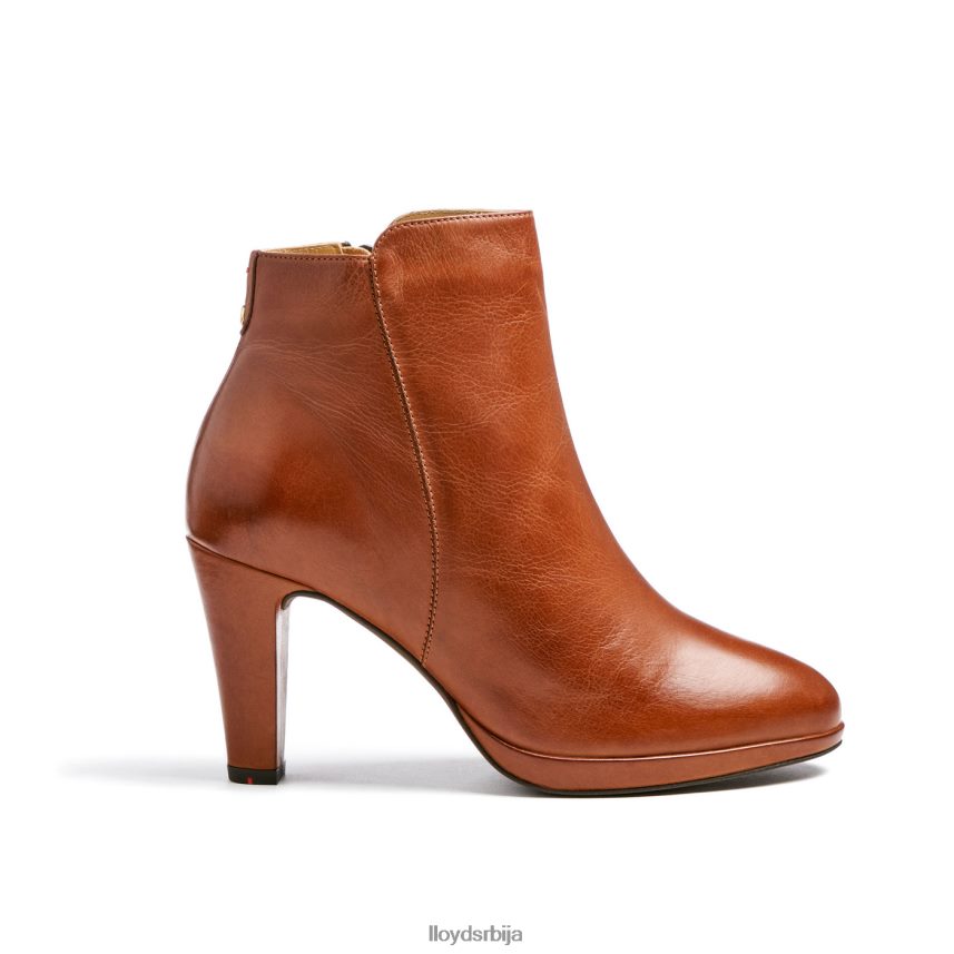 кожне глежњаче Жене D0806T921 ципеле браон LLOYD