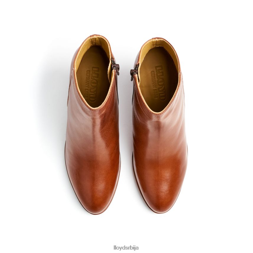 кожне глежњаче Жене D0806T921 ципеле браон LLOYD