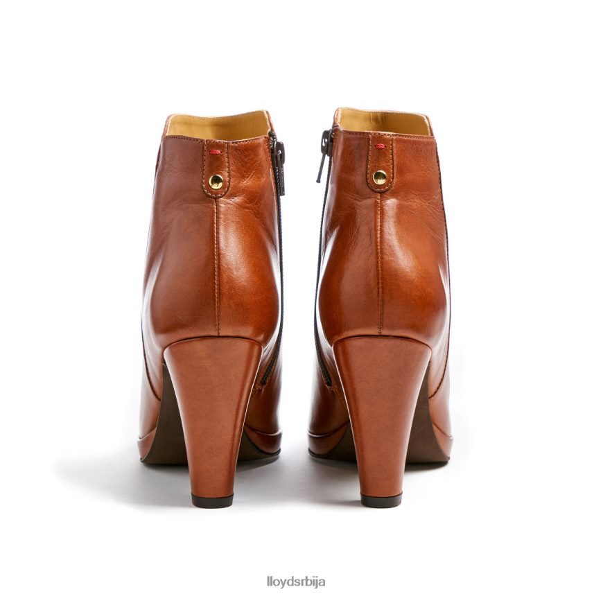 кожне глежњаче Жене D0806T921 ципеле браон LLOYD