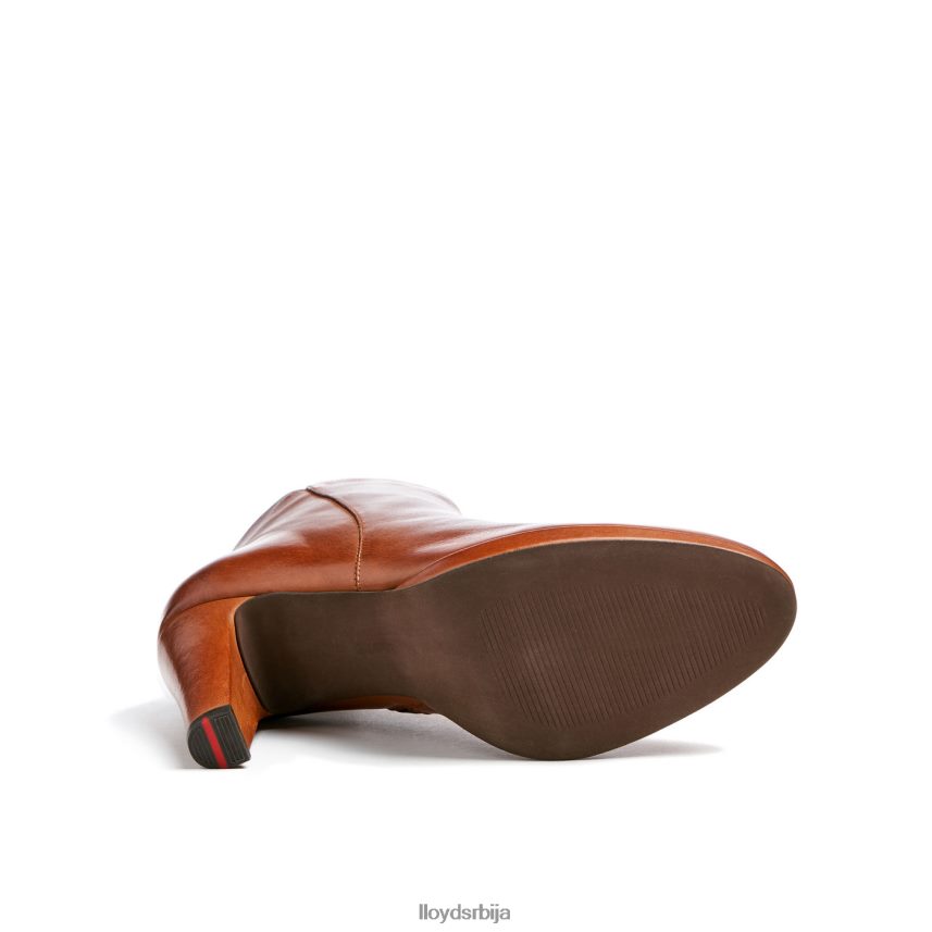 кожне глежњаче Жене D0806T921 ципеле браон LLOYD