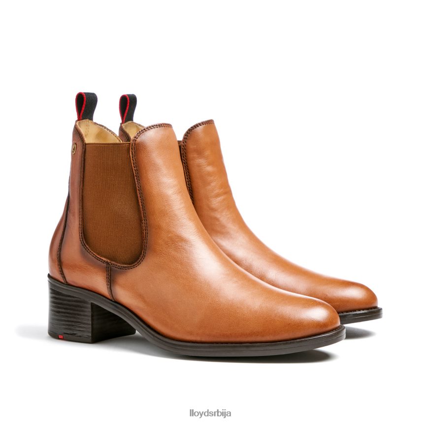 кожне глежњаче Жене D0806T929 ципеле браон LLOYD