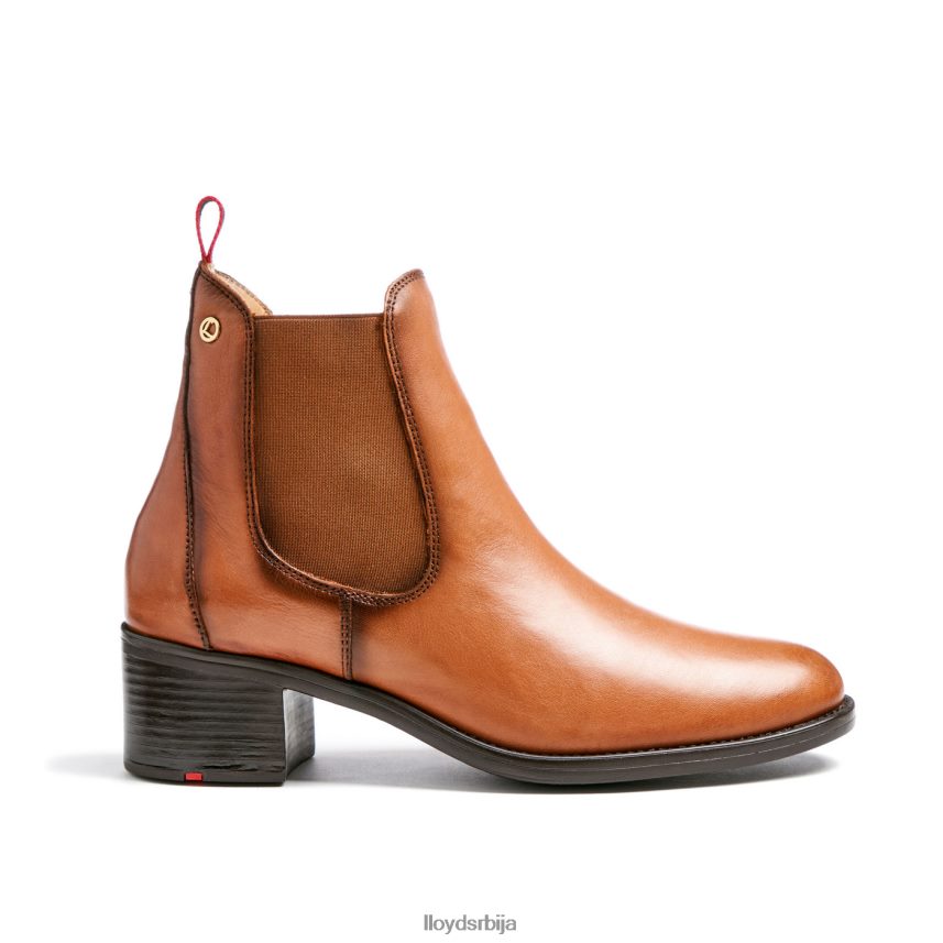 кожне глежњаче Жене D0806T929 ципеле браон LLOYD