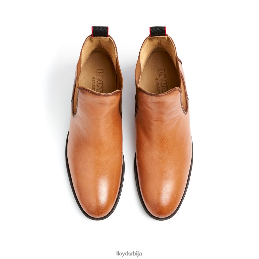 кожне глежњаче Жене D0806T929 ципеле браон LLOYD