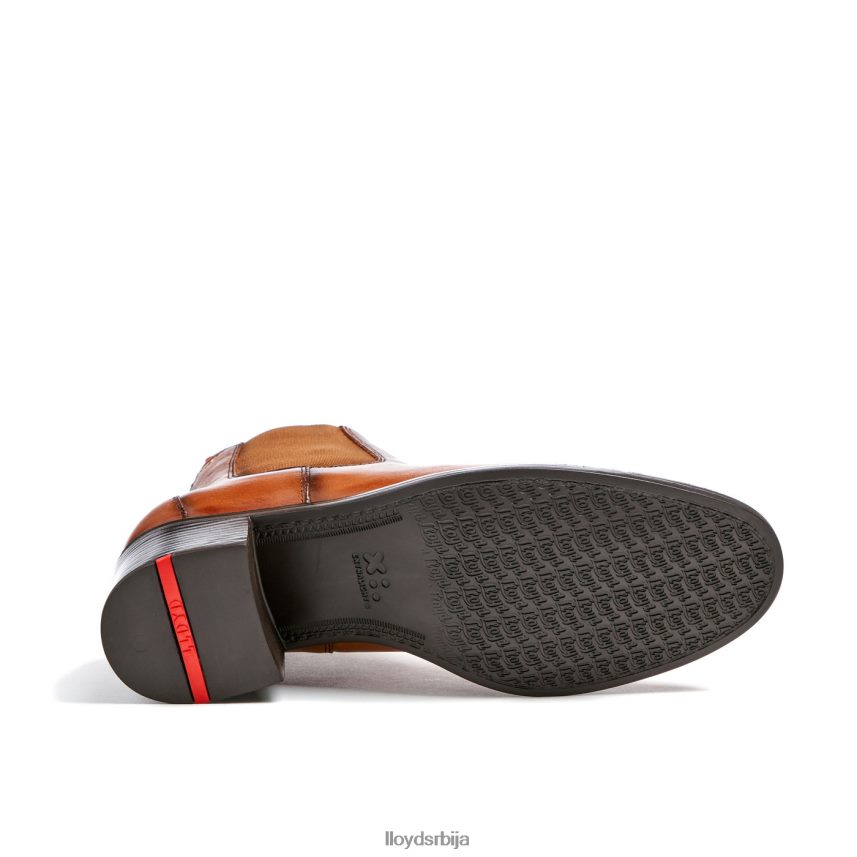 кожне глежњаче Жене D0806T929 ципеле браон LLOYD