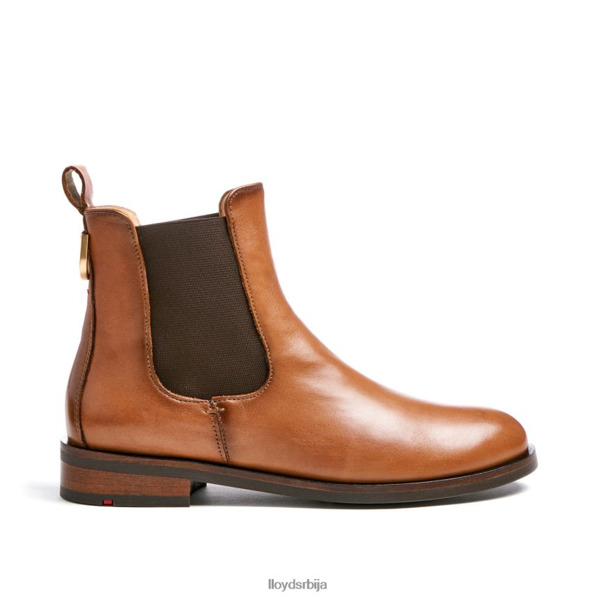 глежњаче од глатке коже Жене D0806T933 ципеле браон LLOYD