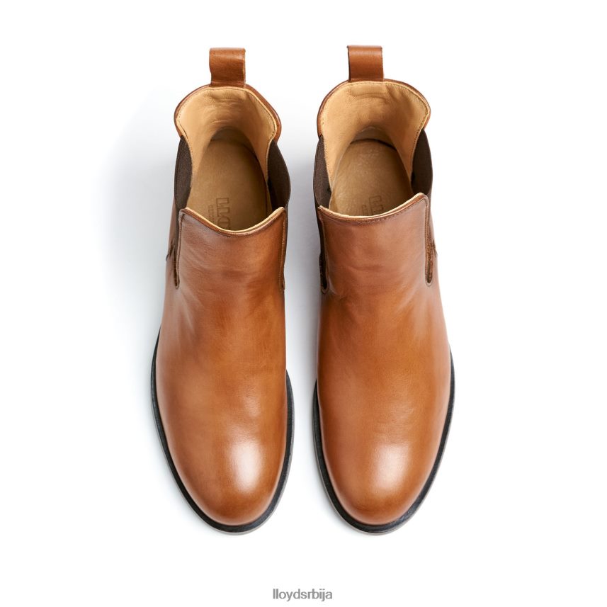 глежњаче од глатке коже Жене D0806T933 ципеле браон LLOYD