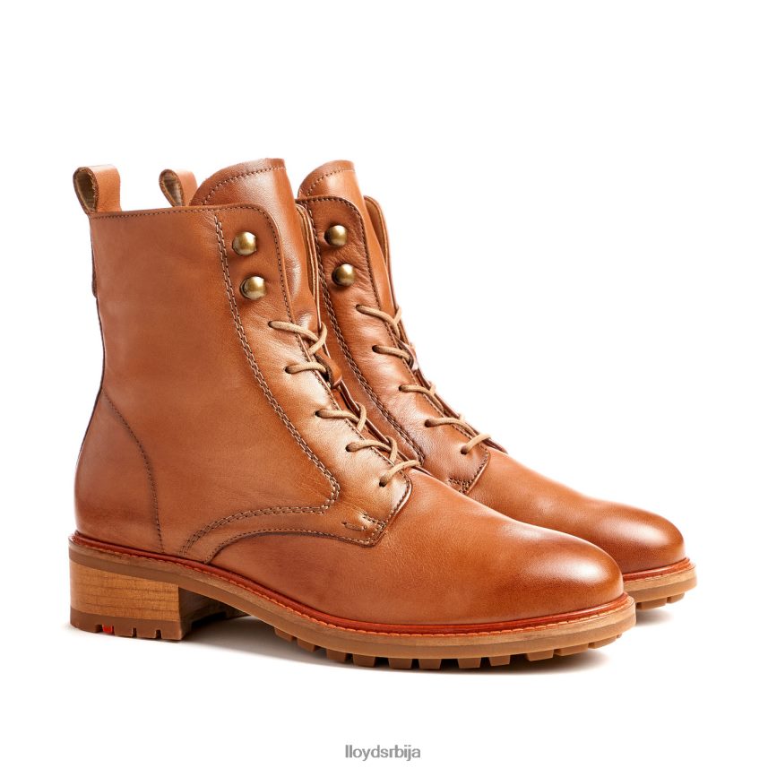 кожне глежњаче Жене D0806T941 ципеле браон LLOYD