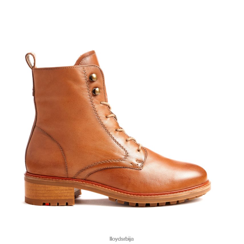 кожне глежњаче Жене D0806T941 ципеле браон LLOYD