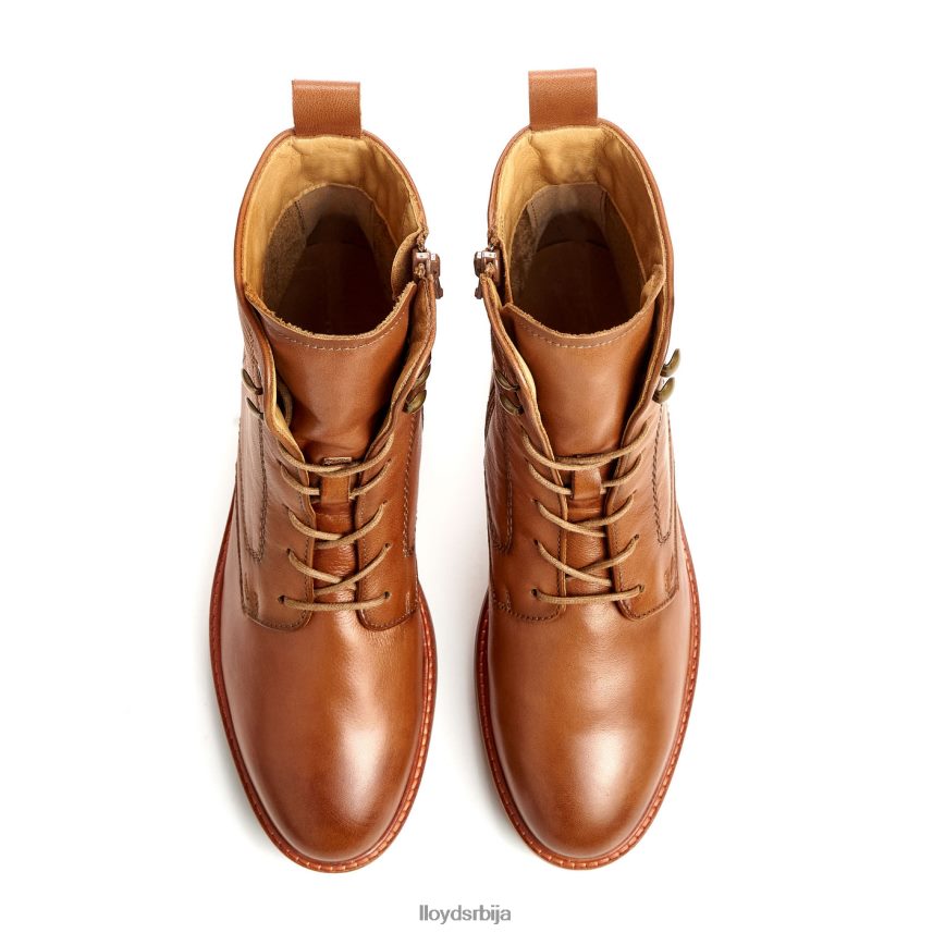 кожне глежњаче Жене D0806T941 ципеле браон LLOYD