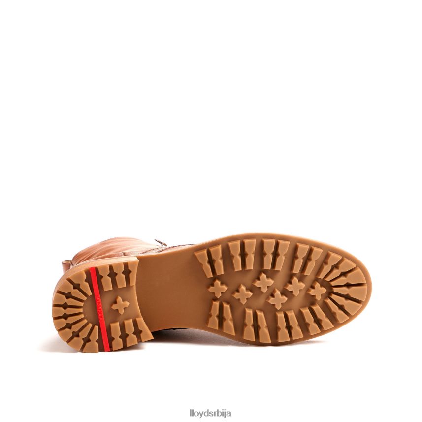 кожне глежњаче Жене D0806T941 ципеле браон LLOYD