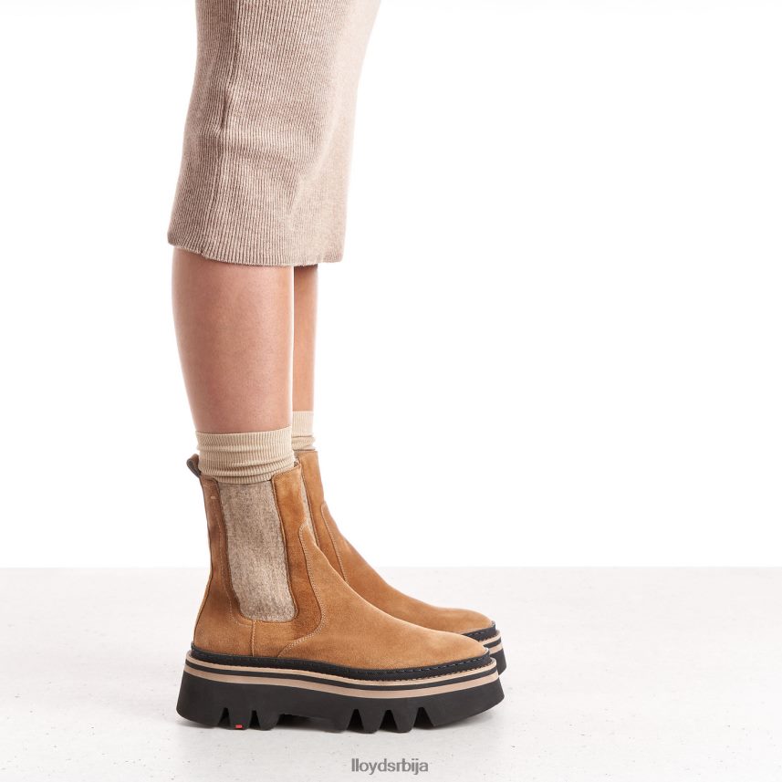 глежњаче од грубе коже Жене D0806T946 ципеле браон LLOYD