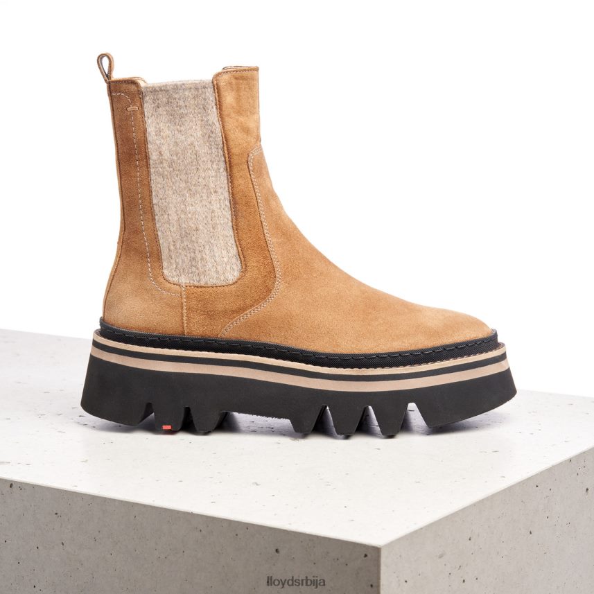 глежњаче од грубе коже Жене D0806T946 ципеле браон LLOYD