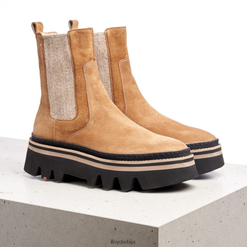 глежњаче од грубе коже Жене D0806T946 ципеле браон LLOYD