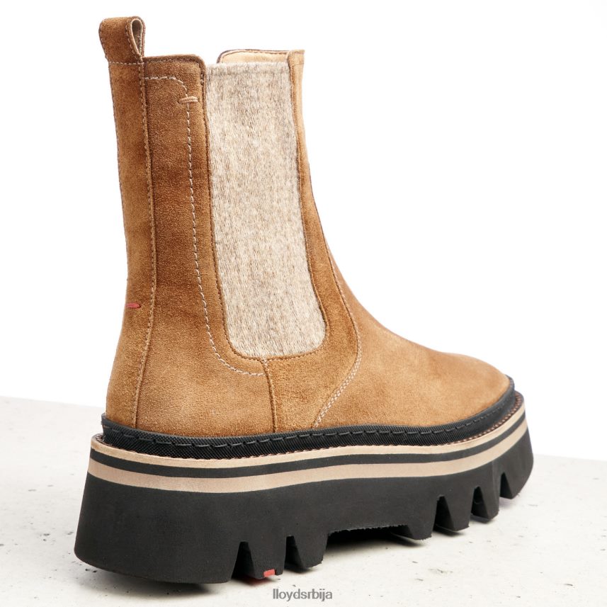 глежњаче од грубе коже Жене D0806T946 ципеле браон LLOYD